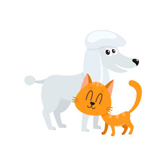 poodle dog dog and red cat, kitten characters, pets, friendship concept, cartoon vector illustration isolated on white background. poodle dog dog and red cat characters, friends