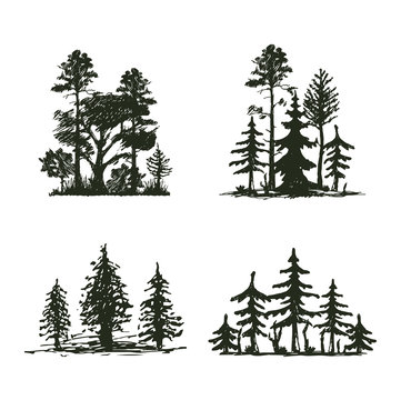 Tree outdoor travel black silhouette coniferous natural badge, tops pine spruce branch cedar and plant leaf abstract stem drawing vector illustration.