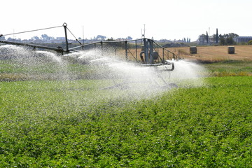 agriculture, watering the field 