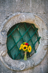 Wedding bridal bouquet of sunflowers on the window. Wedding in Montenegro, Perast.