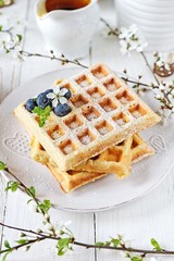 Corn meal waffles