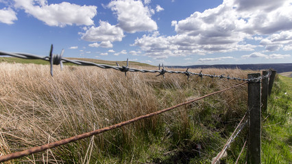 Fototapeta na wymiar Barbed Wire Fence and Grass Field