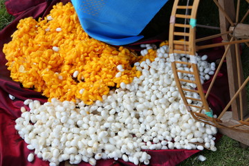 Silk worm cocoons nests and Weaving shuttle