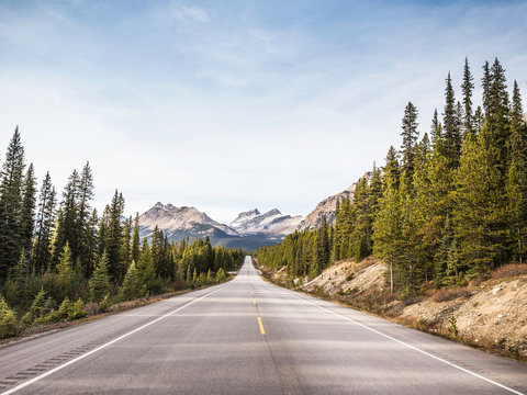 Icefields Parkway, Highway 93, Lake Louise, Alberta, Canada