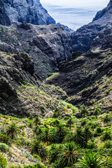 famous masca gorge - tenerife - spain