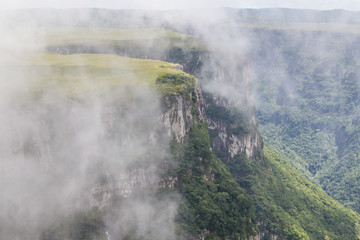 Fog covering canyon