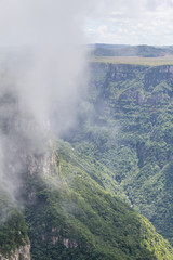 Fog covering canyon