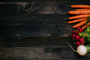 Organic vegetables background. Fresh harvested vegetables on the dark wooden background, top view, with copy space