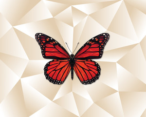 Low Poly Butterfly