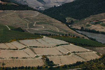 Naklejka premium View from Pinhao village in Portugal to Douro valley and river