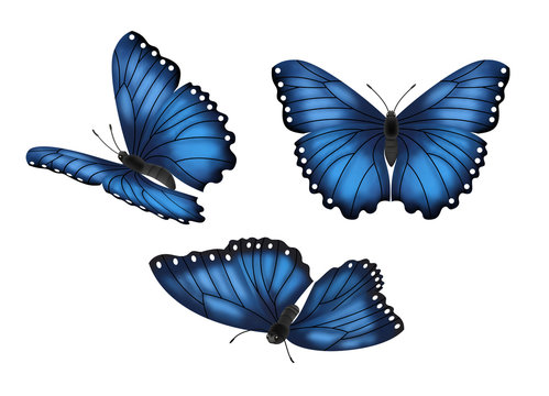 Blue Butterflies Set