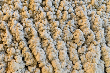 salt mine wall texture