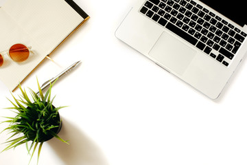 Modern home workspace with bright sunglasses, laptop keyboard, green office plant and notebook....