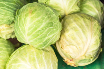 Closeup of a crate, fresh, organic sprouts. Cabbage produced without nitrates. Captured in the market for fruits and vegetables. Concept health and agriculture
