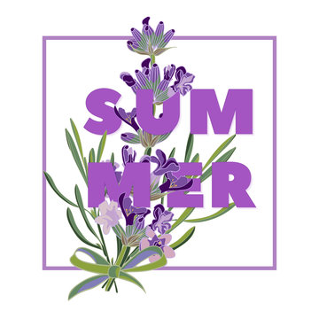 Summer floral background with beautiful lavender flowers on white background. Multicoloured typography greeting card