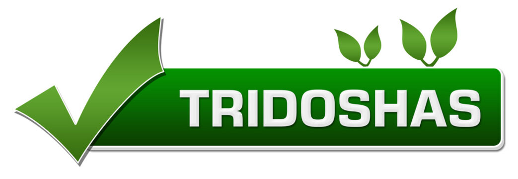 Tridoshas Green Leaves Tick Mark 