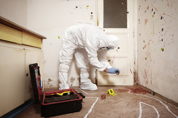 Collecting of fly larva on crime scene by criminologist