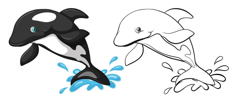 Animal outline for whale