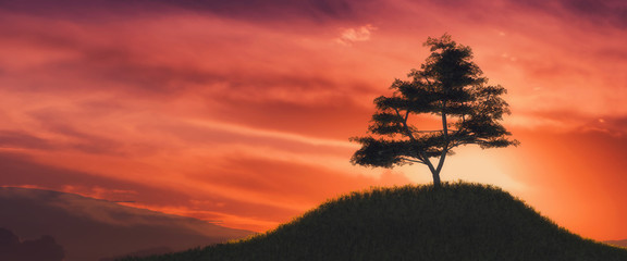 Naklejka na ściany i meble illustration of a tree and sunset