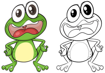 Obraz premium Animal outline for frog