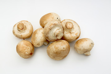 champignon mushroom