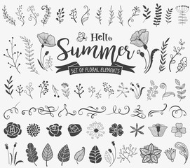 Floral design elements in doodle style