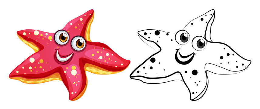 9,200+ Starfish Sketch Illustrations, Royalty-Free Vector Graphics & Clip  Art - iStock