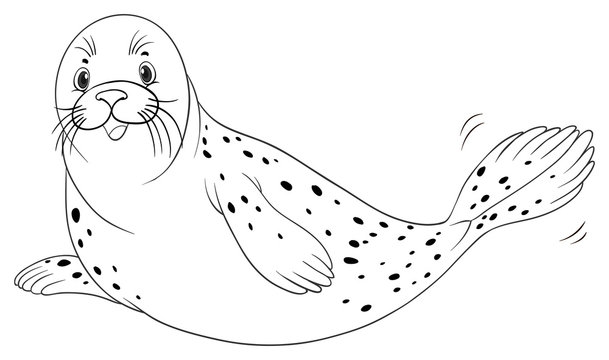 Animal outline for seal