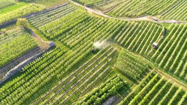 Aerial 4k - Trattamento antiparassitario con trattore