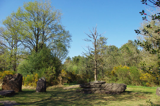 Le site m&eacute;galithique de Monteneuf