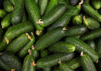 cucumbers