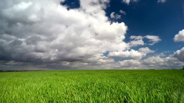 summer day. clouds in the field. timelapse. weather before the storm.