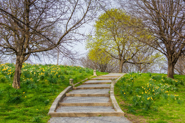 Flowers and stairs at Patterson Park, in Baltimore, Maryland.