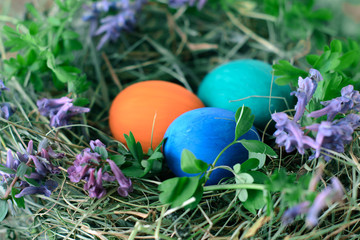 Easter eggs in a nest on a wooden background.