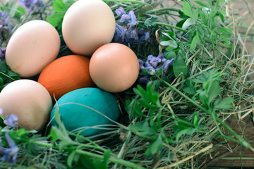 Easter eggs in a nest on a wooden background.