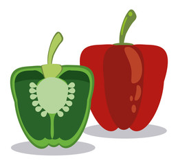 red and green pepper ingredients vector illustration eps 10