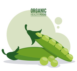 organic healthy food peas pod green vector illustration eps 10