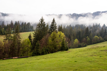 Fototapeta na wymiar rural mountain landscape in a misty spring morning