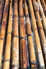 Bamboo background.