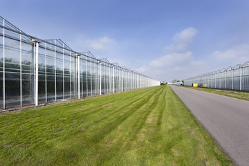 Greenhouses and an asphalt road