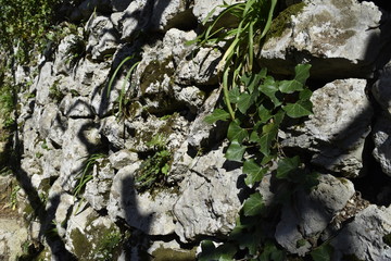 Europe / italie / côte almafitaine 