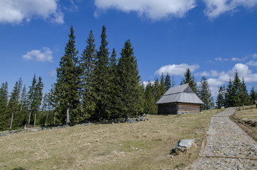 Wierch Poroniec © maxim81x
