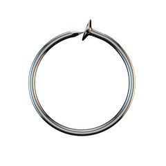 Steel nail.Circle frame. Isolated on white background. 3D rendering illustration.