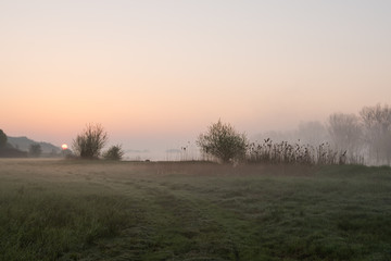 Fototapeta na wymiar Mgła nad brzegiem Warty