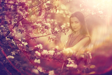 Spring portrait in apple blossoms young adult beautiful girl