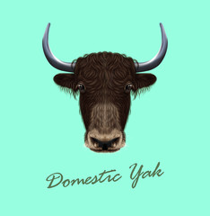 Vector Illustrated portrait of Domestic yak