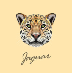Naklejka na ściany i meble Vector Illustrated portrait of Jaguar
