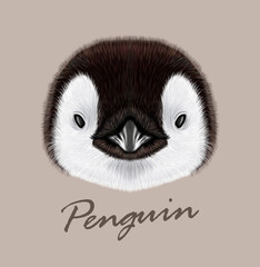 Vector Illustrated portrait of Emperor penguin chick