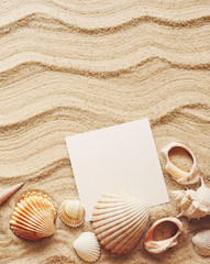 Fototapeta na wymiar Seashells and empty white card on sand. Sea summer vacation background with space for the text