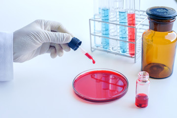 Scientist working at blood test in laboratory
